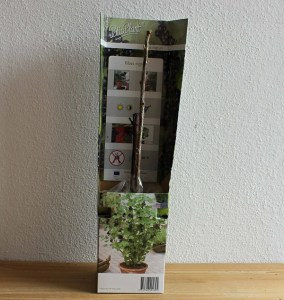 ribezla cierna